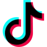 TikTok Ads